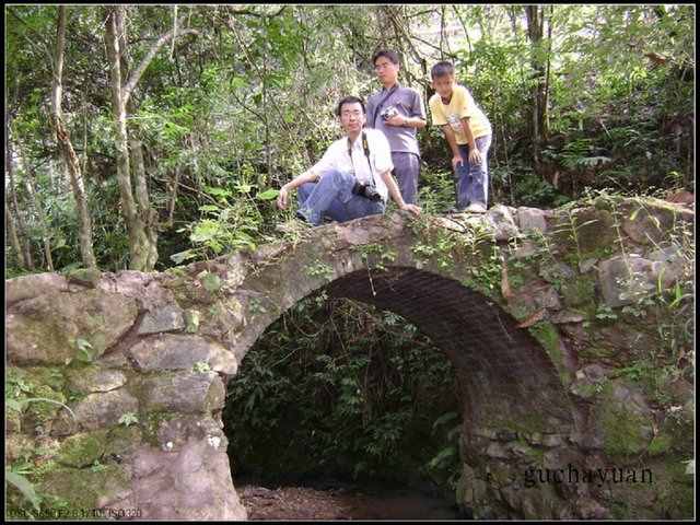 茶王树附近的茶马古道“蜈蚣桥”