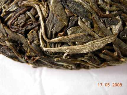 普洱茶：08年春---帮盆古树乔木茶6