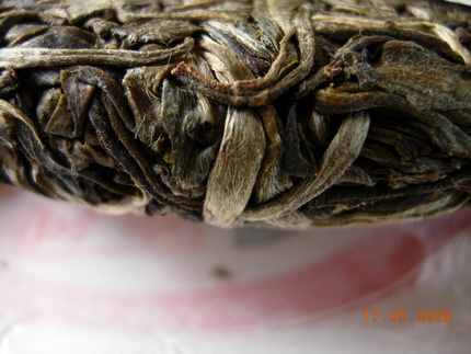 普洱茶：08年春---帮盆古树乔木茶7